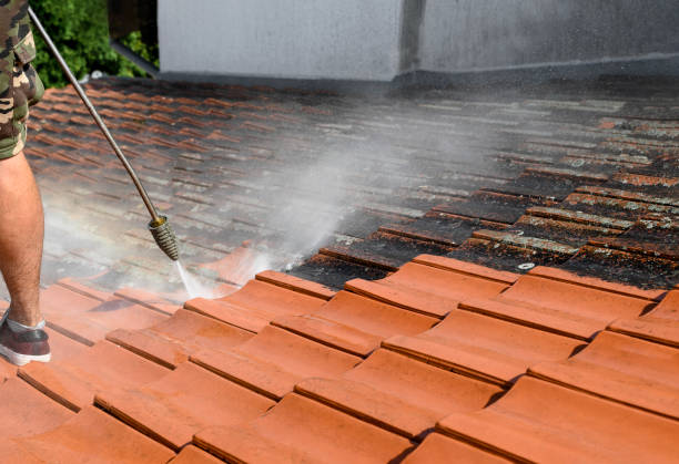 Professional Pressure Washing in Lake Park, GA